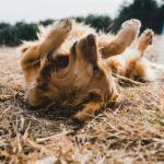 michael oxendine t7wwffh6x8E unsplash (1)